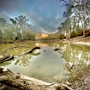 Murray Valley National Park-Whymoul Section