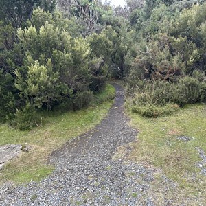 Liffey River Track & Lookout