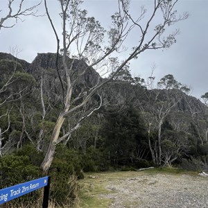 Projection Bluff Track