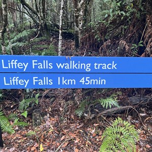 Liffey Falls Upper Track