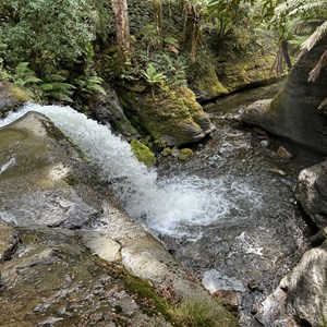 Liffey Falls Upper Cascades