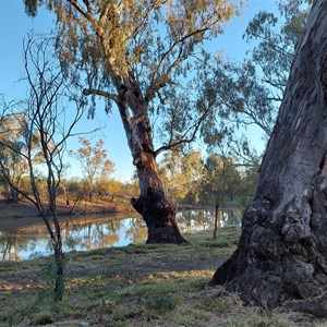 Mungindi Bridge Rest Area