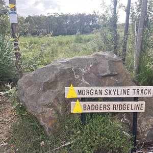 Morgans Skyline Trailhead