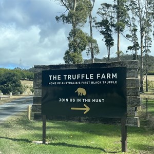 The Truffle Farm
