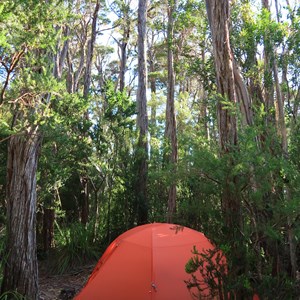 Lake Adelaide Campsite