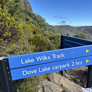 Junction Face Track & Lake Wilks Track