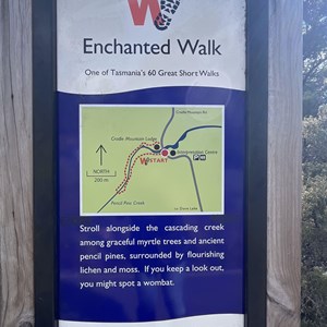 Enchanted Walk