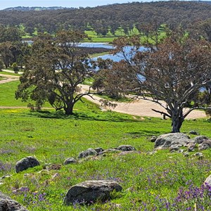 Bethungra Dam Reserve