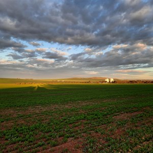 Lush and green Sept 2025