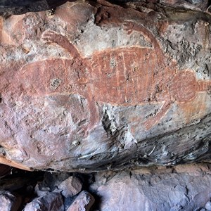 Crocodile Rock art
