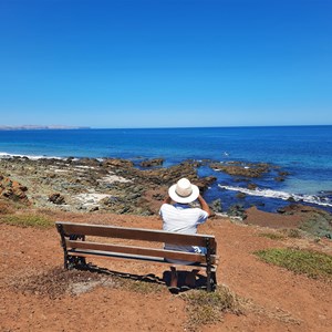 Superb summers day Jan 2025