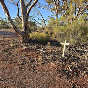 Dog Cemetery