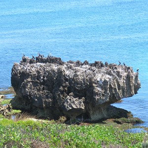 Stack safety for seabirds