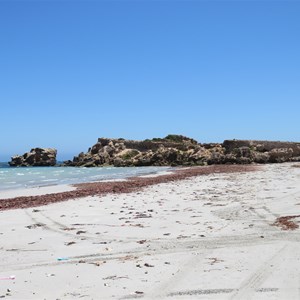 Some weed but fragrant - Jan 2025