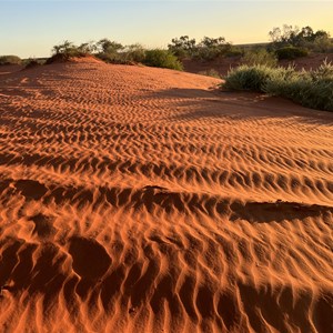 Sunset Hill, Bullara Station