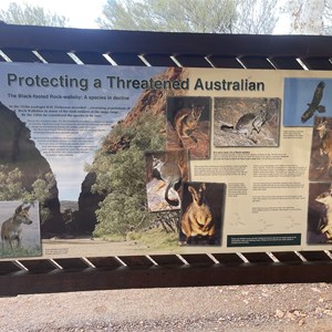 Simpson Gap Information Shelter