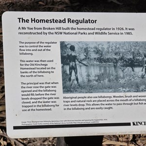 Burke & Wills Camp 34A.