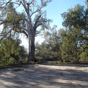 Burke & Wills Pamamaroo Depot Camp