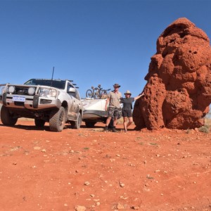 Rest Area/Termite Mound (Plenty Hwy)