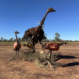 Emu and Chicks