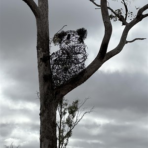 Koala sculpture