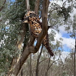 Kookaburra sculpture