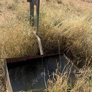 Potable water well