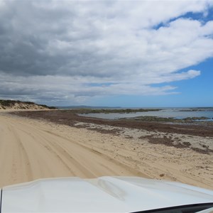 Track between seaweed and dunes