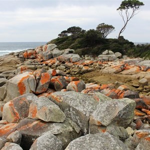 The foreshore is decorated by lichen covered rocks