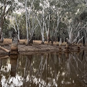 Drummondslope Camp