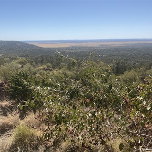 Hughenden Lookout