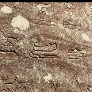 Gosford Cliffs Glyphs