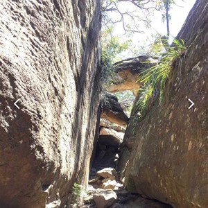 Gosford Cliffs Glyphs