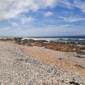 Seashore shell scene