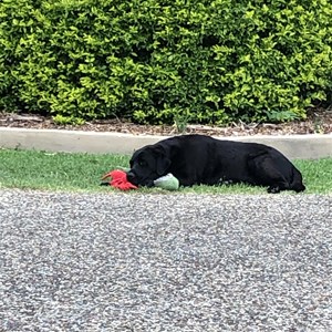 Cadney Park Roadhouse