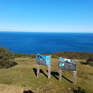 Pages lookout