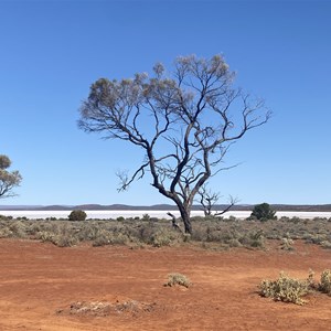 Waltumba Campground