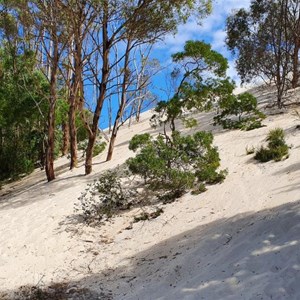 The ocean is on the other side of this dune