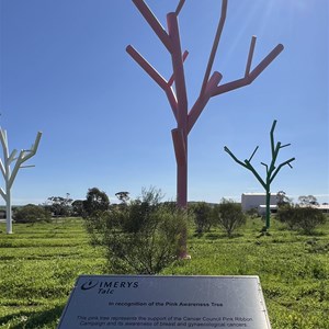 4 coloured trees