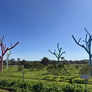 4 coloured trees