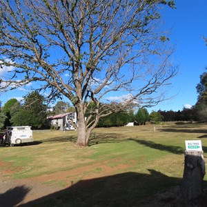 Campsite view