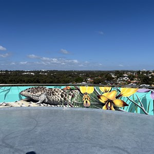 Mount Flora Lookout - Watermans