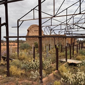 Shearing Shed ruins