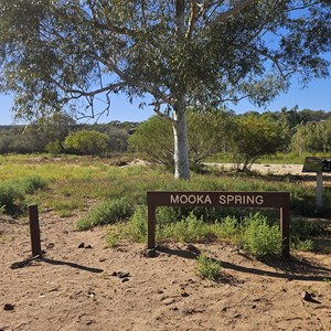 Mooka Spring