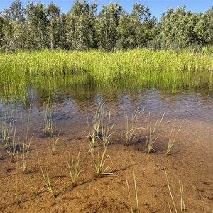 Mooka Spring