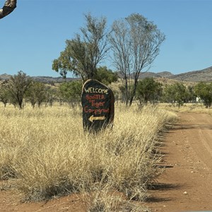 Spotted Tiger Campground