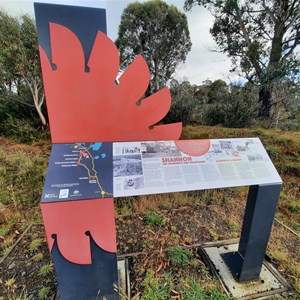 Sign at Shannon