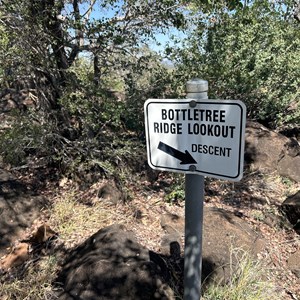 Bottletree Ridge Lookout