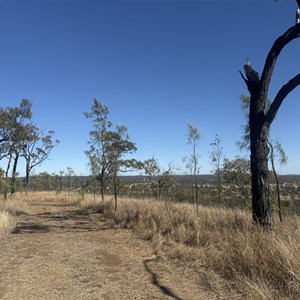 Black Braes Lookout