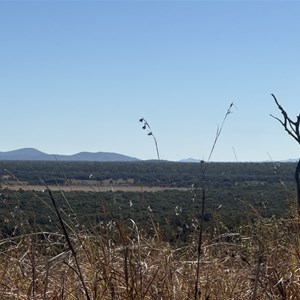 Black Braes Lookout